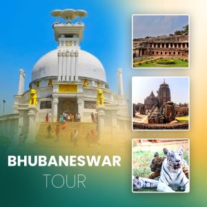 Bhubaneswar Tour